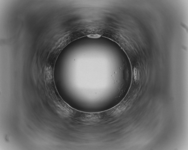 X0000095891107200801111149
