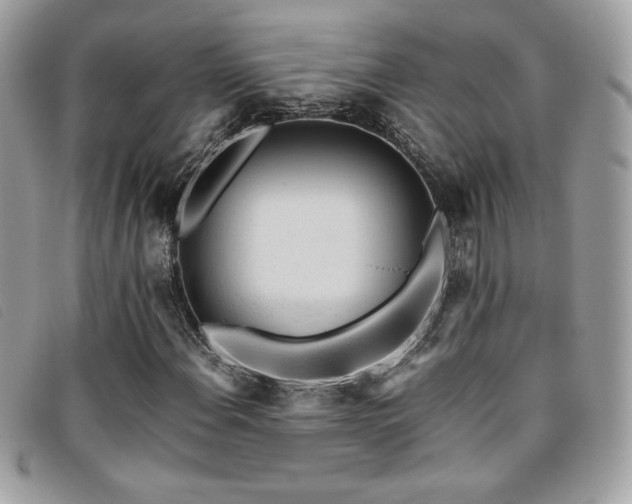 X0000095891108200801111149