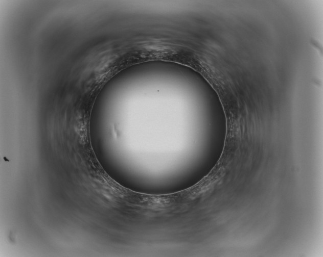 X0000095891109200801111149
