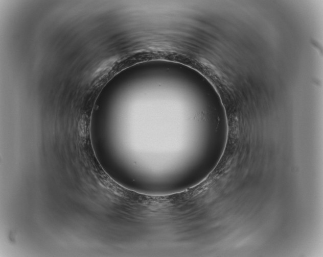 X0000095891110200801111149