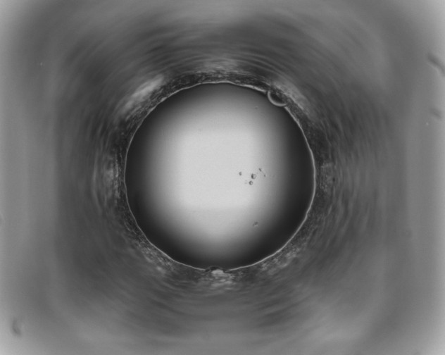 X0000095891111200801111149