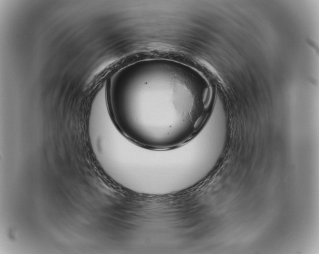 X0000095891112200801111149