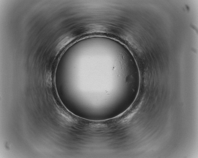 X0000095891113200801111149
