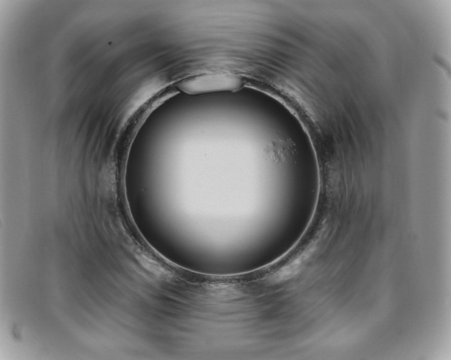 X0000095891114200801111149