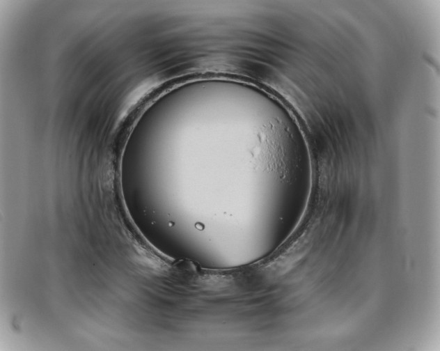 X0000095891115200801111149