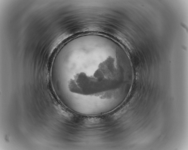 X0000095891117200801111149
