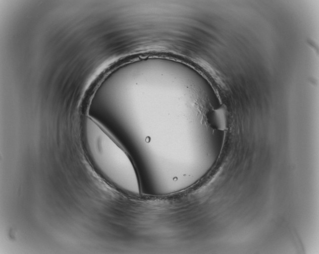 X0000095891118200801111150