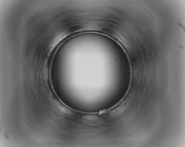 X0000095891119200801111150