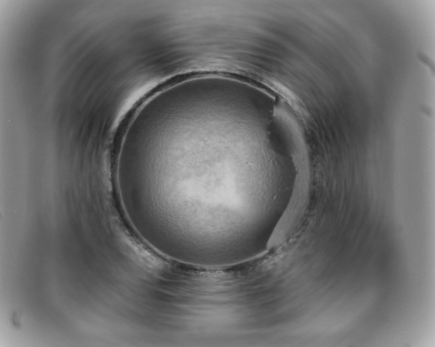 X0000095891120200801111150