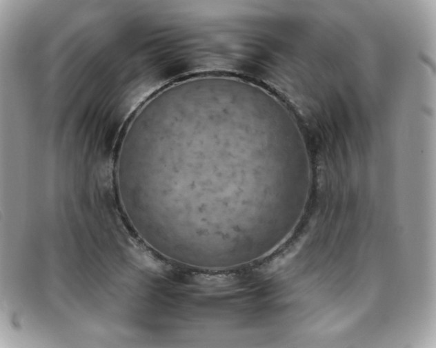 X0000095891121200801111150