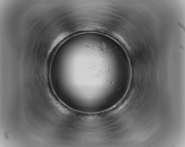 X0000095891122200801111150