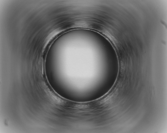 X0000095891123200801111150
