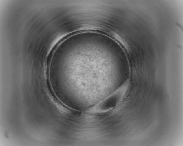 X0000095891124200801111150