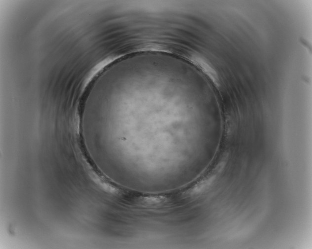 X0000095891125200801111150