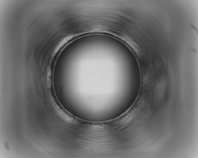 X0000095891126200801111150