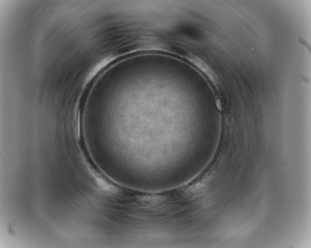 X0000095891127200801111150