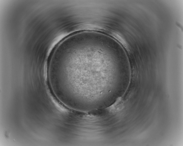 X0000095891128200801111150