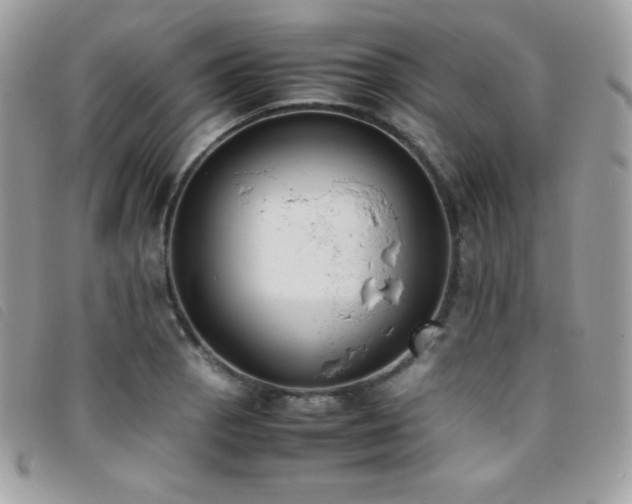 X0000095891129200801111150