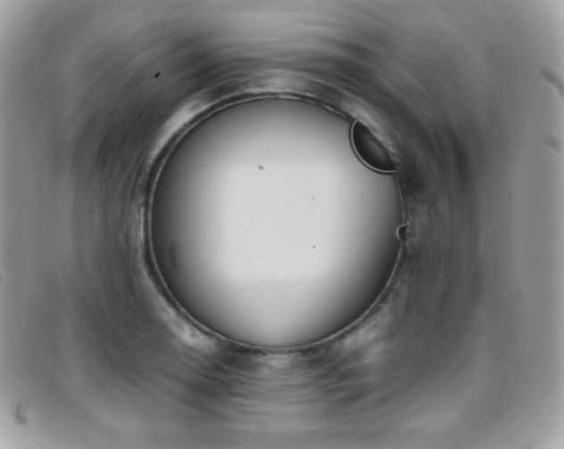 X0000095891130200801111150