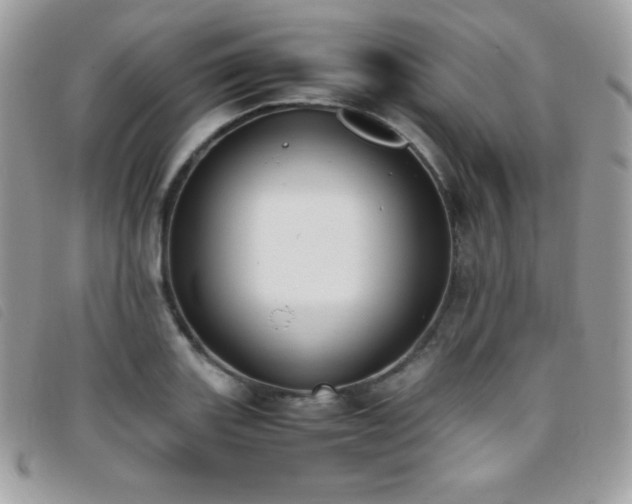 X0000095891131200801111150