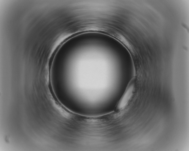 X0000095891132200801111150
