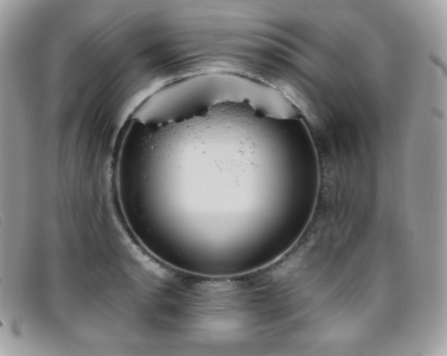 X0000095891134200801111150
