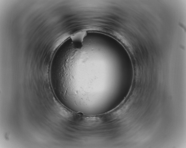 X0000095891137200801111150