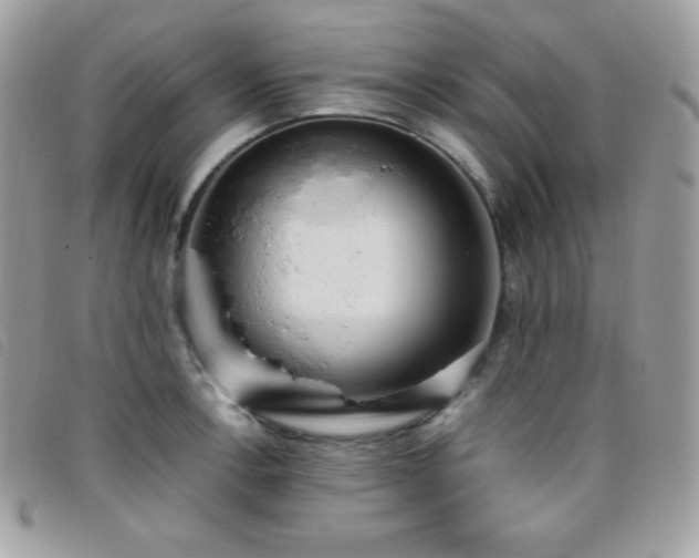 X0000095891138200801111150