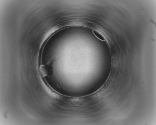 X0000095891139200801111150