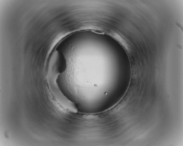 X0000095891140200801111150
