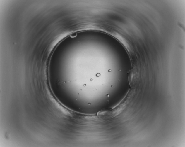 X0000095891142200801111150