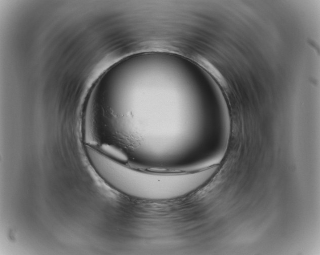 X0000095891144200801111150