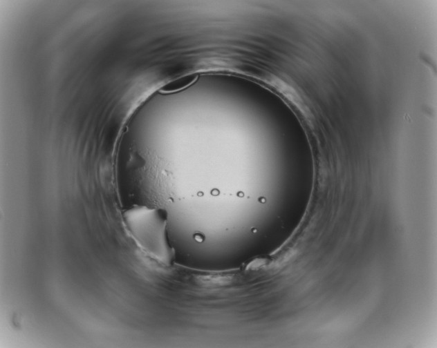 X0000095891145200801111150