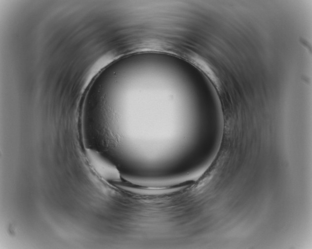 X0000095891146200801111150