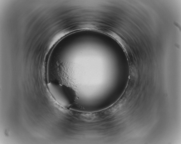 X0000095891147200801111150