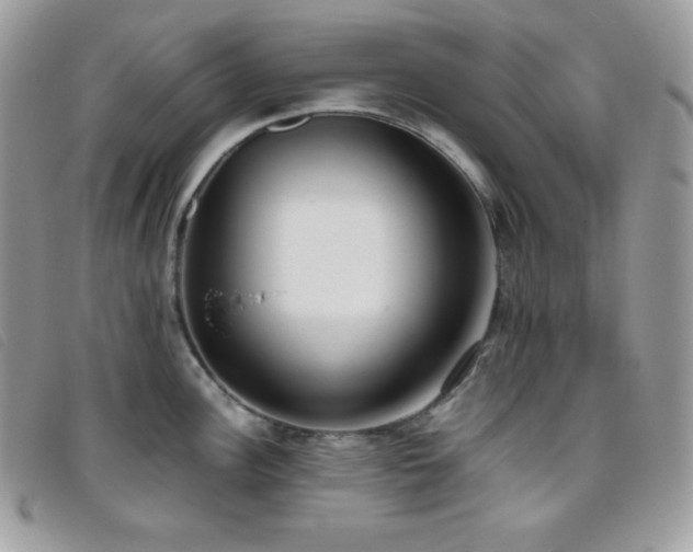 X0000095891148200801111150