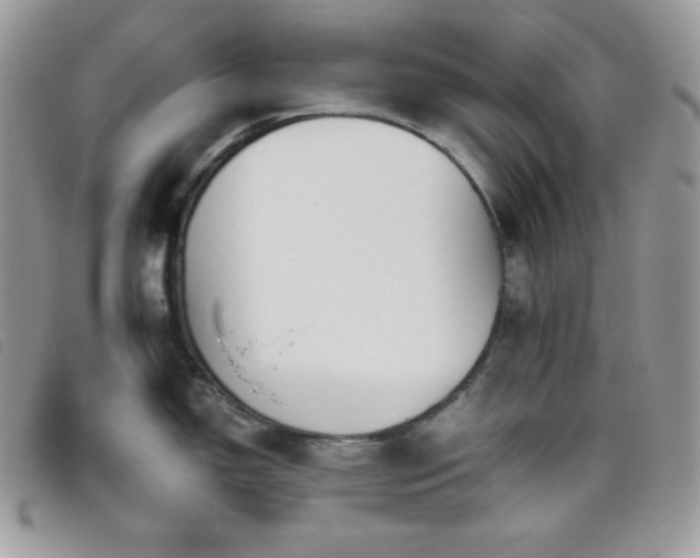 X0000095891150200801111150