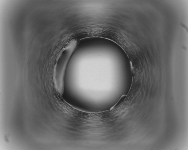 X0000095891153200801111149