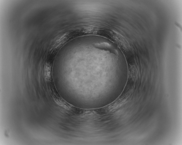 X0000095891154200801111149