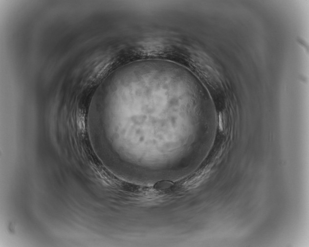 X0000095891155200801111149