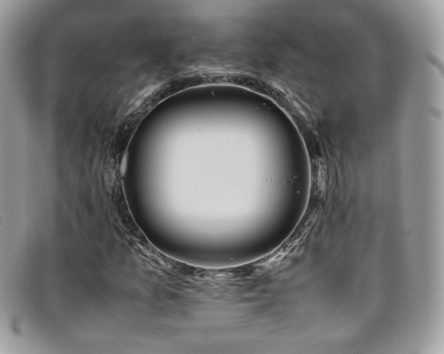 X0000095891157200801111149