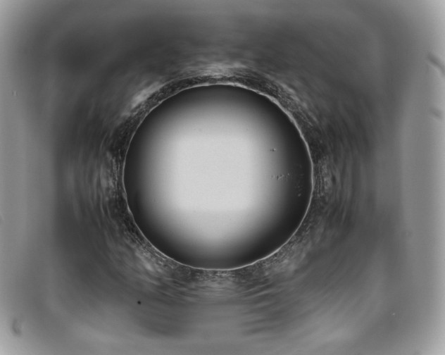 X0000095891158200801111149