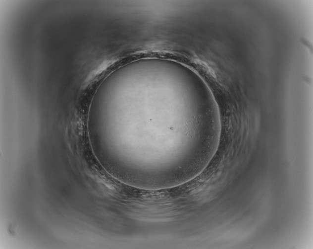 X0000095891159200801111149