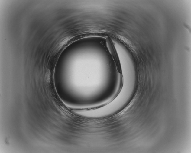 X0000095891161200801111149
