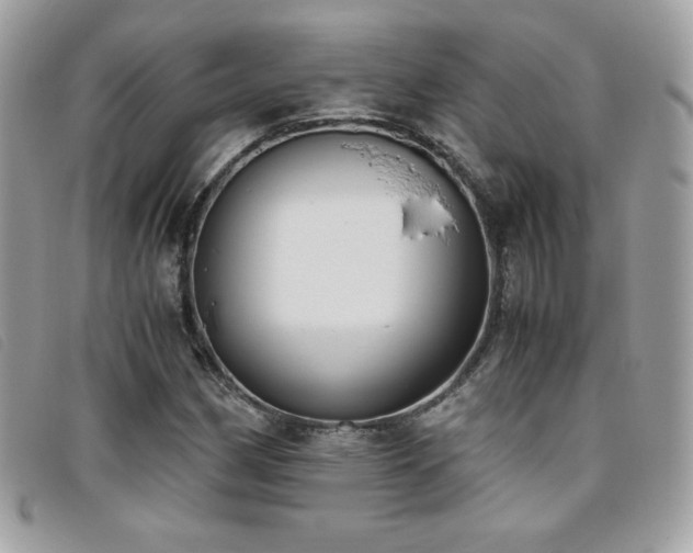 X0000095891162200801111149