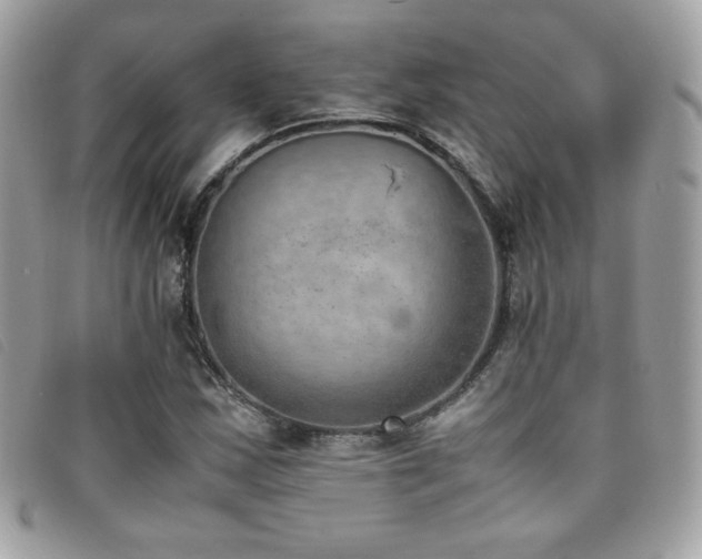 X0000095891163200801111149