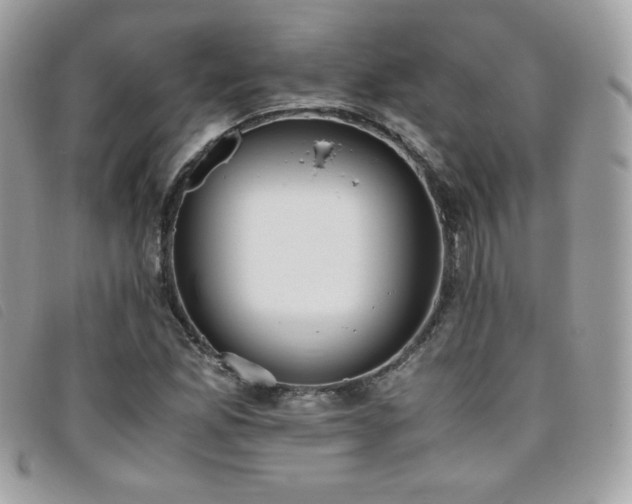 X0000095891165200801111149