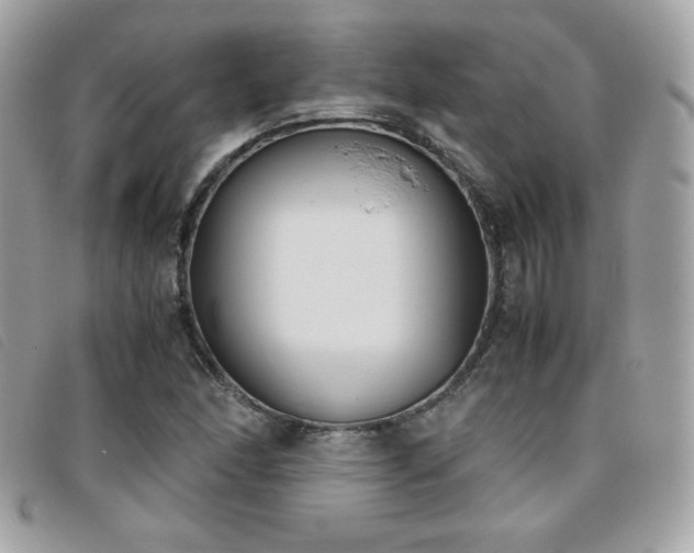 X0000095891166200801111149