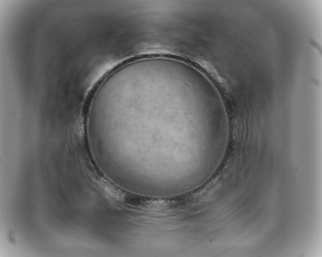 X0000095891167200801111149