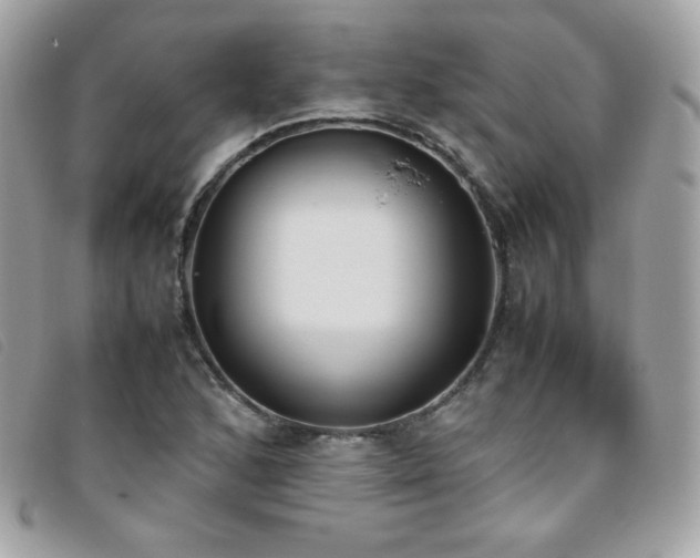 X0000095891168200801111149